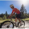 image:imageTifosi Optics Stash Sunglasses  Ideal For Cycling Gravel MTB amp Road Baseball Softball amp PickleballBlack Orange Fade Clarion OrangeAc RedClear