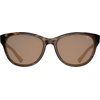 image:imageTifosi Optics Stella SunglassesJava Tortoise Brown