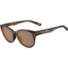 Java Tortoise (Brown)